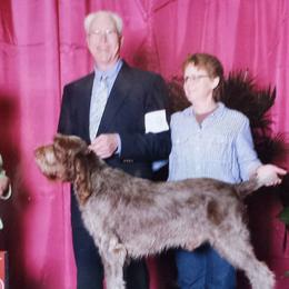 Gordon Setters and Spinoni Italiani from Spinsetters