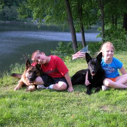 German Shepherd Puppies from Von Lindesfarne