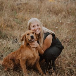 Bear - Dark golden male Golden Retriever puppy in Provo, Utah from Rocky Mountain Field Goldens