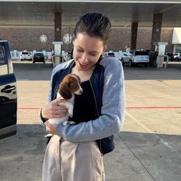 Vanessa AKC - Piebald female Dachshund puppy in Magnolia, Texas from J&R Macias Dachshunds