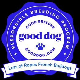 French Bulldog Puppies from Lots of Ropes French Bulldogs