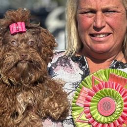 Boxers, Chow Chow, Parson Russell Terriers, and Russian Tsvetnaya Bolonkas from SouthFork Ranch