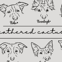 Border Collies from Feathered Cactus Farm