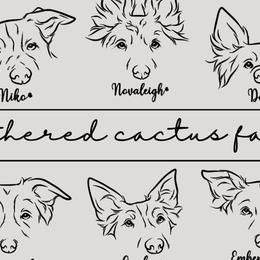 Border Collies from Feathered Cactus Farm