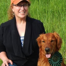 Golden Retrievers from Grayling Golden Retrievers