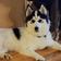 XENA