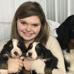 Bernese Mountain Dog Puppies from Carma Que’s Bernese Mountain Dogs