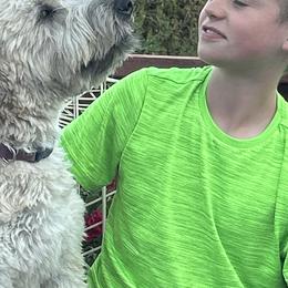 Bernedoodles, Poodles, and Soft Coated Wheaten Terriers from Whoodles of Wyoming