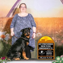 Rottweilers from Dragonstar Rottweilers