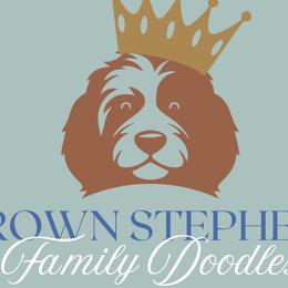 Bernedoodles from Crown Stephens Family Doodles