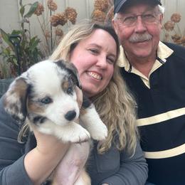 Russ - Brindle merle and white male American Corgi puppy in Shawnee, Oklahoma from Sunray Ranch