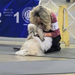 Shih Tzu All Grown Up from Devalon Shih Tzu Palm Beach