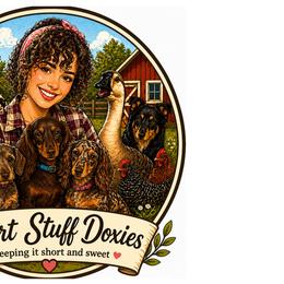 Dachshunds from Short Stuff Doxies