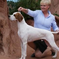 Pointers from Playlist Pointers