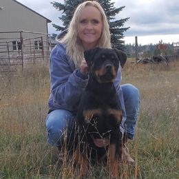 Girl 2 - Black and mahogany female Rottweiler puppy in Athol, Idaho from Vom Corvinus Haus Rottweilers
