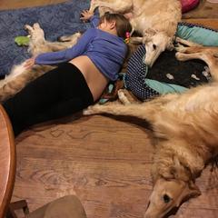 Borzoi Puppies from Chase N' Dreamz Borzoi