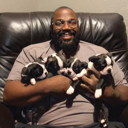 Boston Terrier Puppies from Boston's Boston Terriers AKC