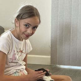 Lagotto Romagnolo Puppies from Anna’s Lagottos