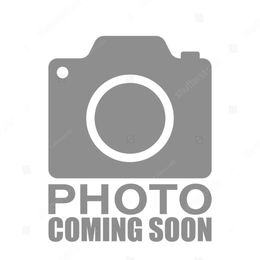 Boy 3 - Apricot male Goldendoodle puppy in Corona, California from SoCalFamilyFrenchies, Doodles and more