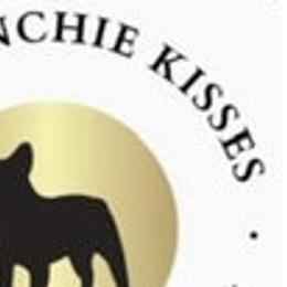 French Bulldogs from MO Frenchie Kisses