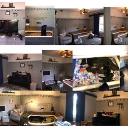 Labrador Retriever Puppies from Harvest Moon Farm