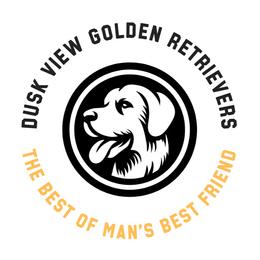 Golden Retrievers from Dusk View Golden Retrievers