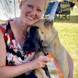 Great Dane Puppies from Paxton Great Danes
