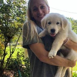 Golden Retriever Puppies from Golden Dust Retrievers