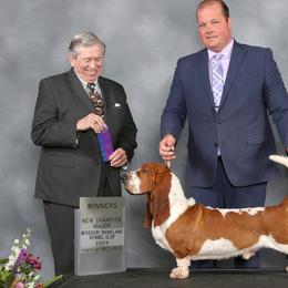 Basset Hounds from Out West Bassets