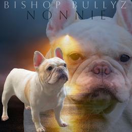 Nonnie - French Bulldog
