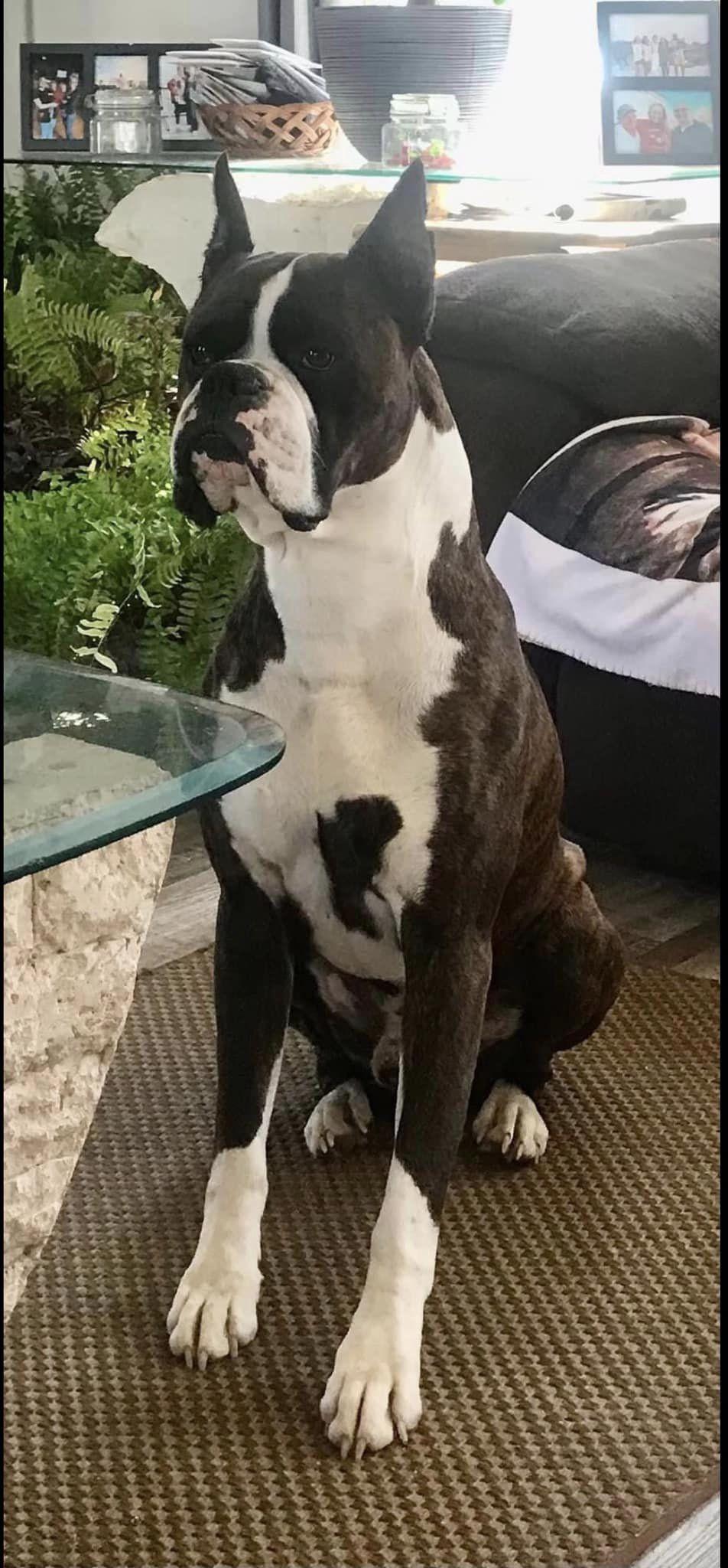 Max