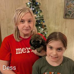 Dess - Black and tan female Cockapoo puppy in Sunset, Louisiana from Cano Cockapoos