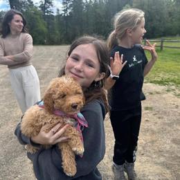 Goldendoodle and Golden Retriever Puppies from BloomingPuppies