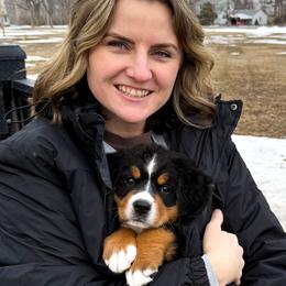 Bernese Mountain Dogs from Jena's Blissful Bernese Mountain Dogs