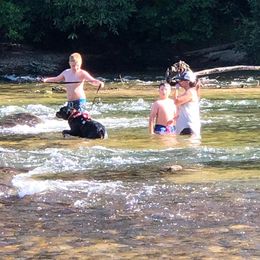 Rottweiler Puppies from Bronx Von Bridges Rottweilers