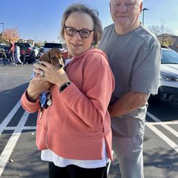 Beethoven - Red male Dachshund puppy in Browns Valley, California from Hidden Oaks Dachshunds