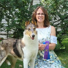 Valentina - Collie