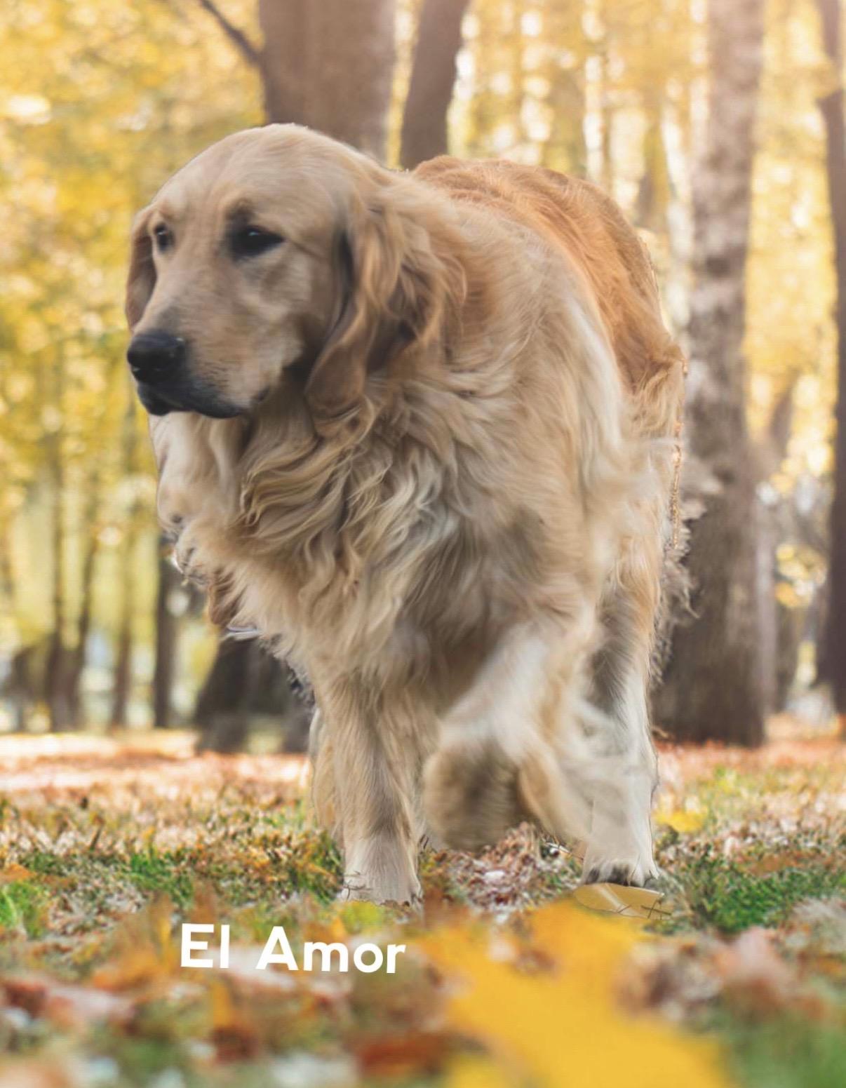 El