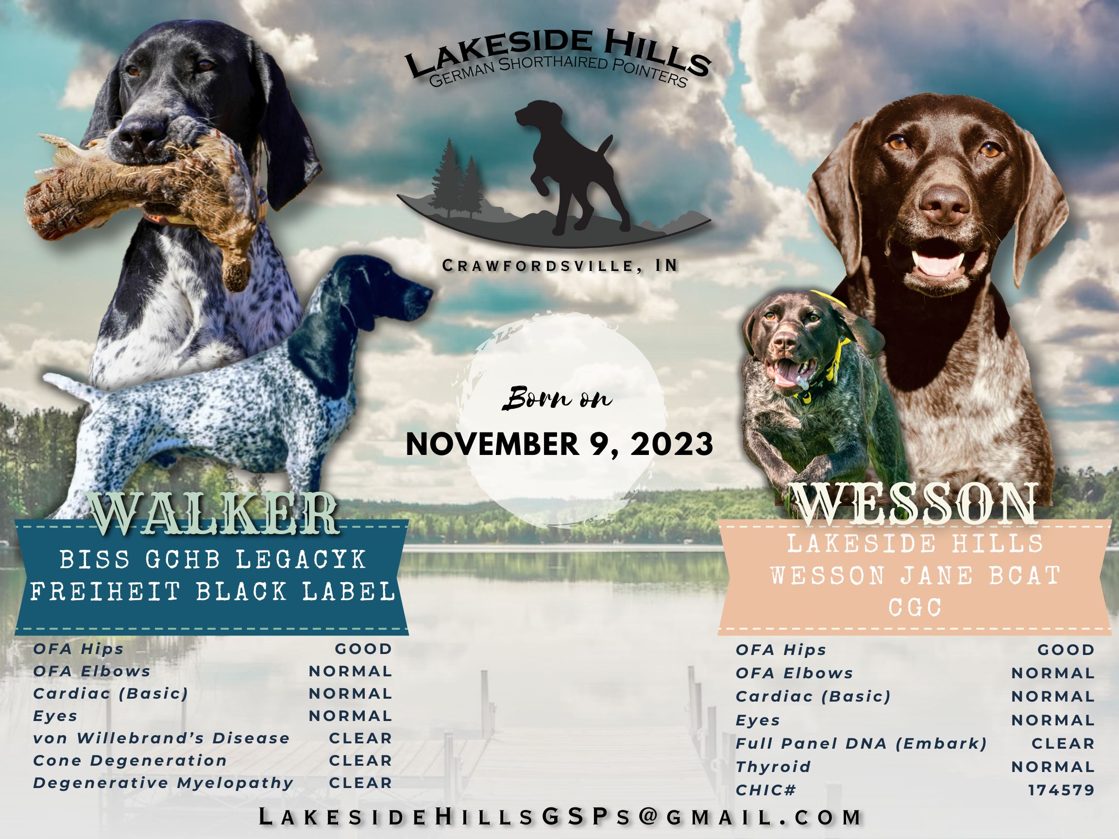 Lakeside Hills German Shorthaired Pointers in Indiana German