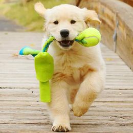 Golden Retriever Puppies from 2 Rivers Goldens