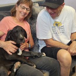 Motown - Black male Great Dane puppy in Brooksville, Florida from Follow My Lead Great Danes