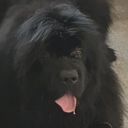 Annika - Newfoundland