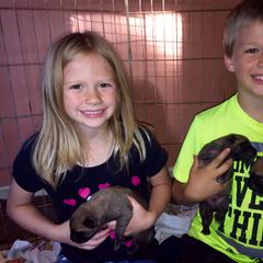Belgian Malinois, Border Collie, and German Shepherd Puppies from Fairlane Kennels