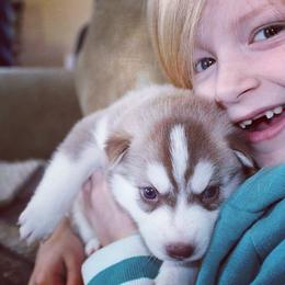 Siberian Husky Puppies from Tricia's Siberians LLC