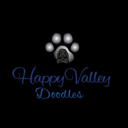 Goldendoodle Puppies from Happy Valley Doodles
