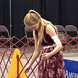 Cocker Spaniel Puppies from Top Notch Cocker Spaniels