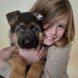 German Shepherd puppies from Sonnenfeld Shepherds