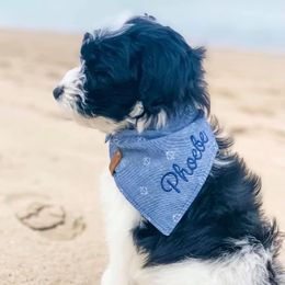 Aussiedoodle Puppies from Ellum Branch Aussiedoodles