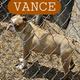 Vance