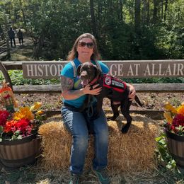 Labrador Retriever Puppies from Rose Gold Retrievers